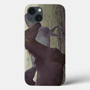 Wilde Pferde Case-Mate iPhone Hülle
