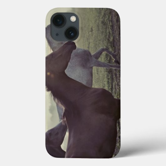 Wilde Pferde Case-Mate iPhone Hülle (Rückseite)