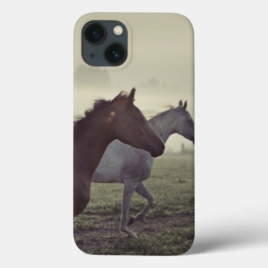 Wilde Pferde Case-Mate iPhone Hülle (Rückseite)