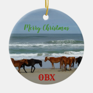 Wilde Pferde Corolla Außenbanken OBX Keramik Ornament