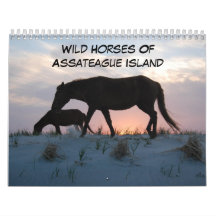 Wilde Pferde der Assateague Island Calendar
