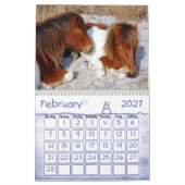 Wilde Pferde der Assateague Island Calendar Kalender (Feb 2027)