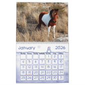 Wilde Pferde der Assateague Island Calendar Kalender (Jan 2026)