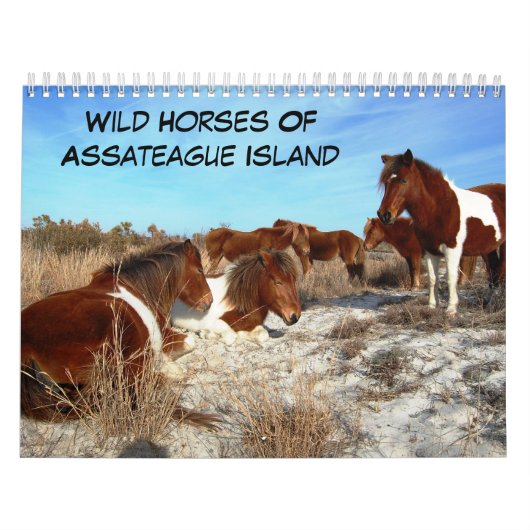 Wilde Pferde der Assateague Island Calendar Kalender (Titelbild)