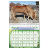 Wilde Pferde der Assateague Island Calendar Kalender (Mär 2026)
