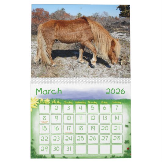 Wilde Pferde der Assateague Island Calendar Kalender (Mär 2026)