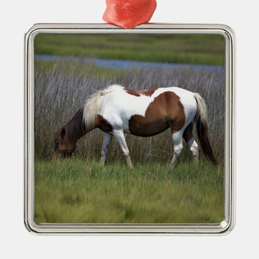 Wilde Pferde der Assateague Keramik Ornament (Vorne)