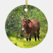 Wilde Pferde der Assateague Keramik Ornament (Vorne)