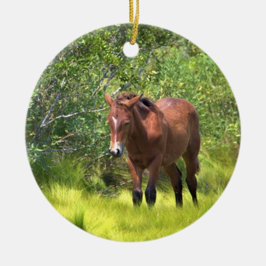 Wilde Pferde der Assateague Keramik Ornament (Vorne)