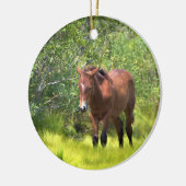 Wilde Pferde der Assateague Keramik Ornament (Links)