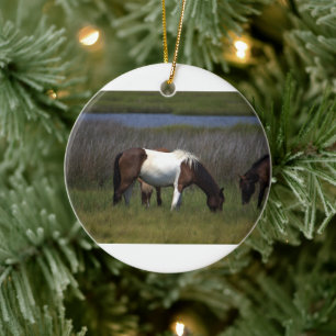Wilde Pferde der Assateague Keramik Ornament