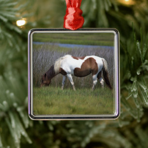 Wilde Pferde der Assateague Keramik Ornament Aus Metall