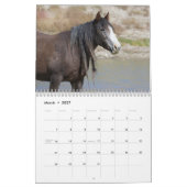 Wilde Pferde der Onaqui - Kalender 2024 (Mär 2027)