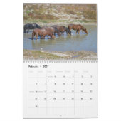 Wilde Pferde der Onaqui - Kalender 2024 (Feb 2027)