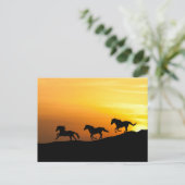 Wilde Pferde, die bei Sunset laufen - Pferdeklette Postkarte (Stehend Vorderseite)