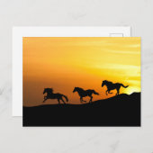 Wilde Pferde, die bei Sunset laufen - Pferdeklette Postkarte (Vorne/Hinten)