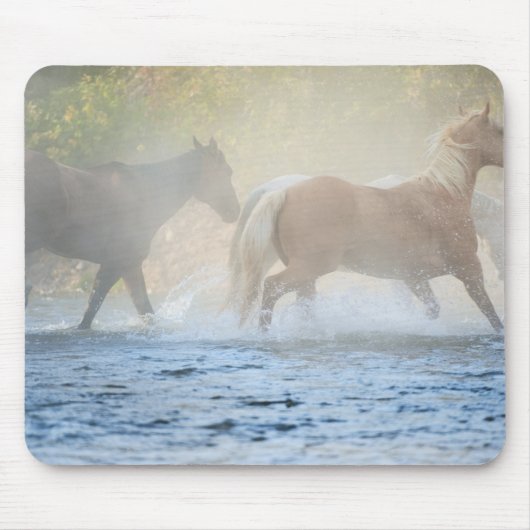 Wilde Pferde, die durch Wasser laufen Mousepad (Vorne)