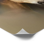 Wilde Pferde Drei Printmedien Poster (Ecke)