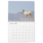 Wilde Pferde (ein Kalender) Kalender (Jan 2026)