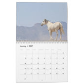 Wilde Pferde (ein Kalender) Kalender (Jan 2027)
