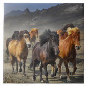 Wilde Pferde Fliese (Vorderseite)