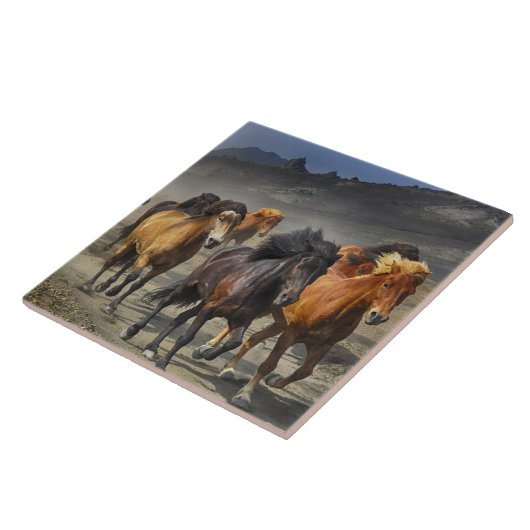 Wilde Pferde Fliese (Seite)