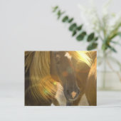 Wilde Pferde Foto Postkarte (Stehend Vorderseite)