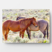 Wilde Pferde Fotoplatte (Vorderseite)