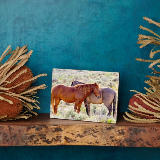 Wilde Pferde Fotoplatte (Seite)