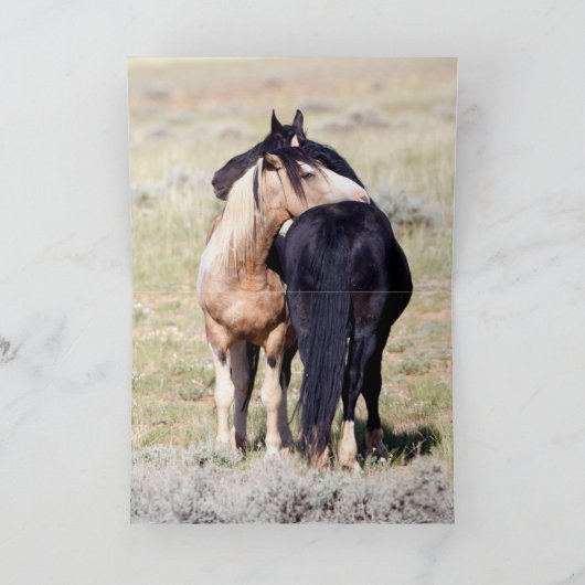 Wilde Pferde Geheimnisse Wildes Pferd Grußkarte Karte (Innenseite)