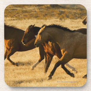 Wilde Pferde Getränkeuntersetzer