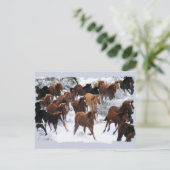 Wilde Pferde getrieben Postkarte (Stehend Vorderseite)