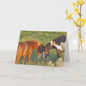 Wilde Pferde im Nationalpark Theodore Roosevelt Karte (Gelbe Blume)