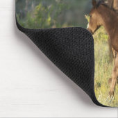Wilde Pferde im Nationalpark Theodore Roosevelt Mousepad (Ecke)