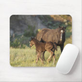 Wilde Pferde im Nationalpark Theodore Roosevelt Mousepad (Mit Mouse)