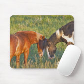 Wilde Pferde im Nationalpark Theodore Roosevelt Mousepad (Mit Mouse)