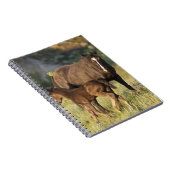 Wilde Pferde im Nationalpark Theodore Roosevelt Notizblock (Rechte Seite)