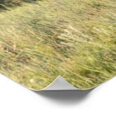 Wilde Pferde im Nationalpark Theodore Roosevelt Poster (Ecke)