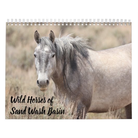 Wilde Pferde im Sandwaschbecken Kalender (Titelbild)