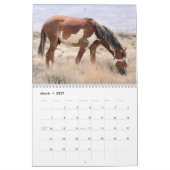 Wilde Pferde im Sandwaschbecken Kalender (Mär 2027)