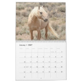 Wilde Pferde im Sandwaschbecken Kalender (Jan 2027)