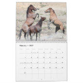Wilde Pferde im Sandwaschbecken Kalender (Feb 2027)