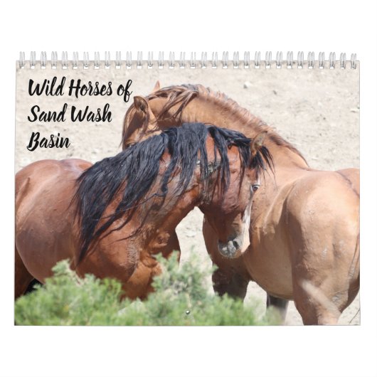 Wilde Pferde im Sandwaschbecken Kalender (Titelbild)