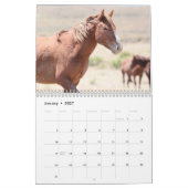 Wilde Pferde im Sandwaschbecken Kalender (Jan 2027)