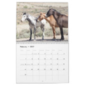 Wilde Pferde im Sandwaschbecken Kalender (Feb 2027)