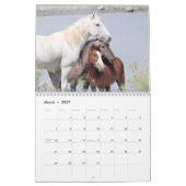 Wilde Pferde im Sandwaschbecken Kalender (Mär 2027)