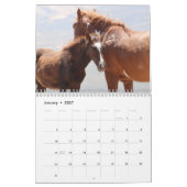 Wilde Pferde im Sandwaschbecken Kalender (Jan 2027)