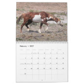 Wilde Pferde im Sandwaschbecken Kalender (Feb 2027)