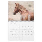 Wilde Pferde im Sandwaschbecken Kalender (Mär 2027)