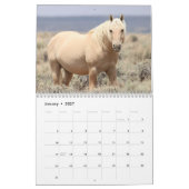 Wilde Pferde im Sandwaschbecken Kalender (Jan 2027)